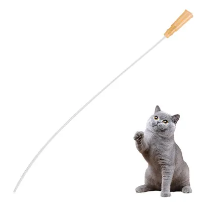 Kedi idrar kateteri